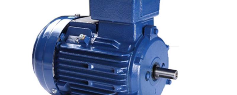 變頻電動(dòng)機(jī)