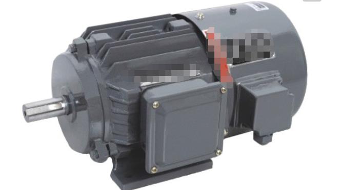 變頻電動(dòng)機(jī)