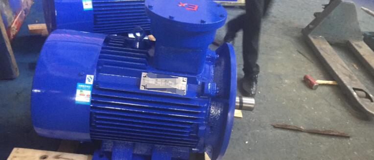 粉塵防爆電機(jī)型號(hào)